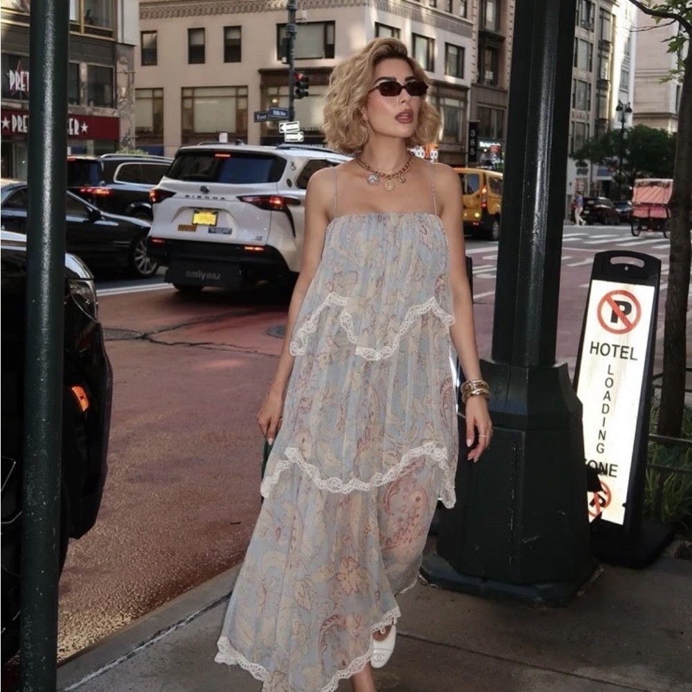 Zara Chiffon Lace Ruffle Print Maxi Dress - Picture 3 of 7